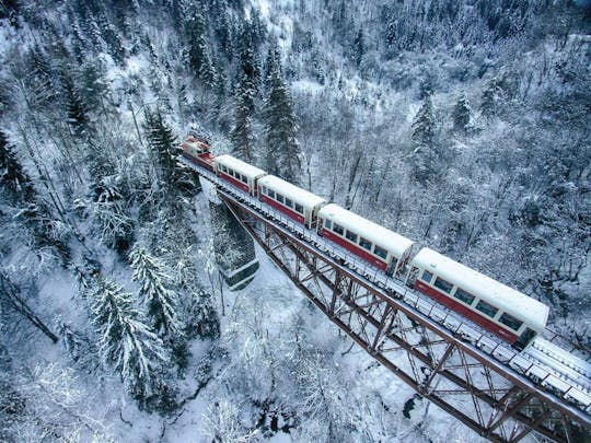 Excursión guiada de un día completo a la estación de esquí y tren de Bakuriani desde Tbilisi