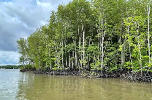 Half-Day Cycling Tour of Koh Klang
