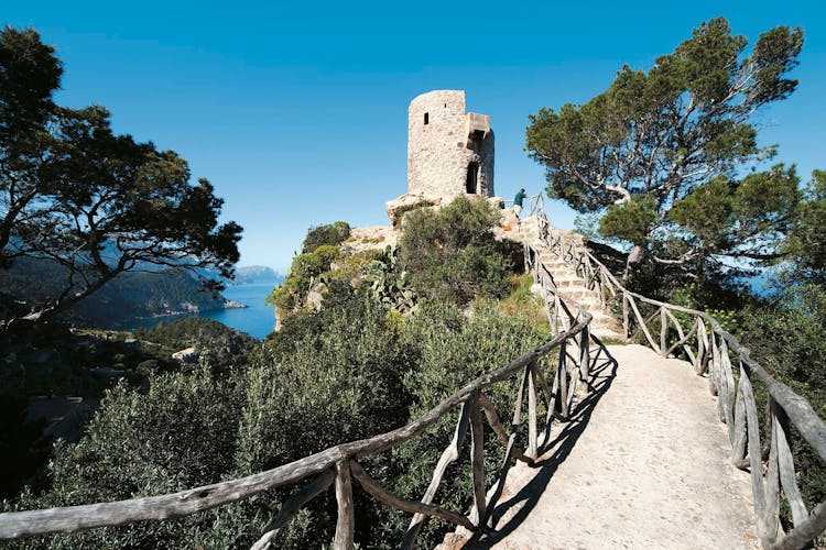 Authentic Majorca Almond Blossom Tour