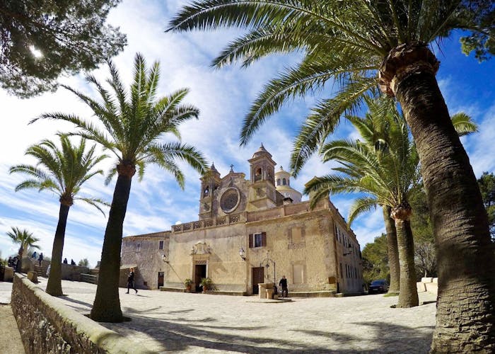 Authentic Majorca Almond Blossom Tour