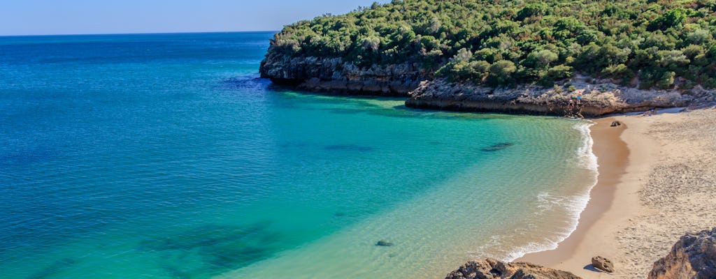 Visite guidée de plongée en apnée et de trekking à Arrábida au départ de Lisbonne