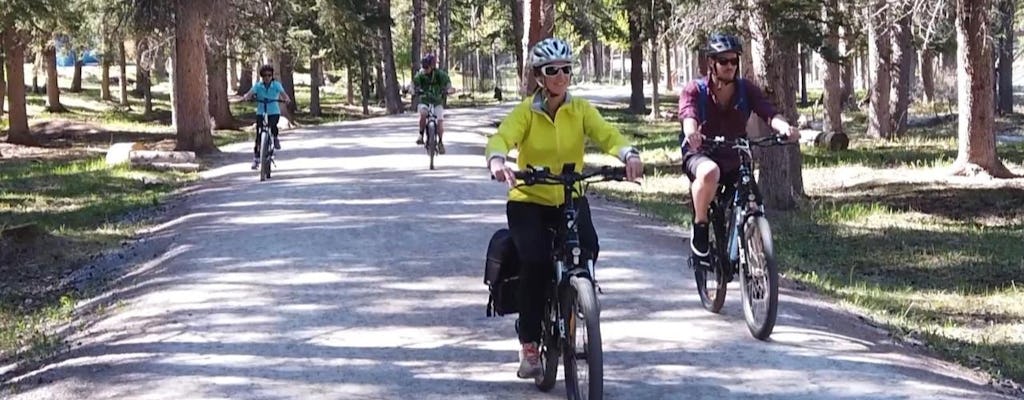 Tour Legacy Trail e Canmore e-Bike da Banff