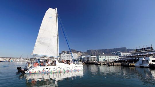 60-minute Cape Town bay sail