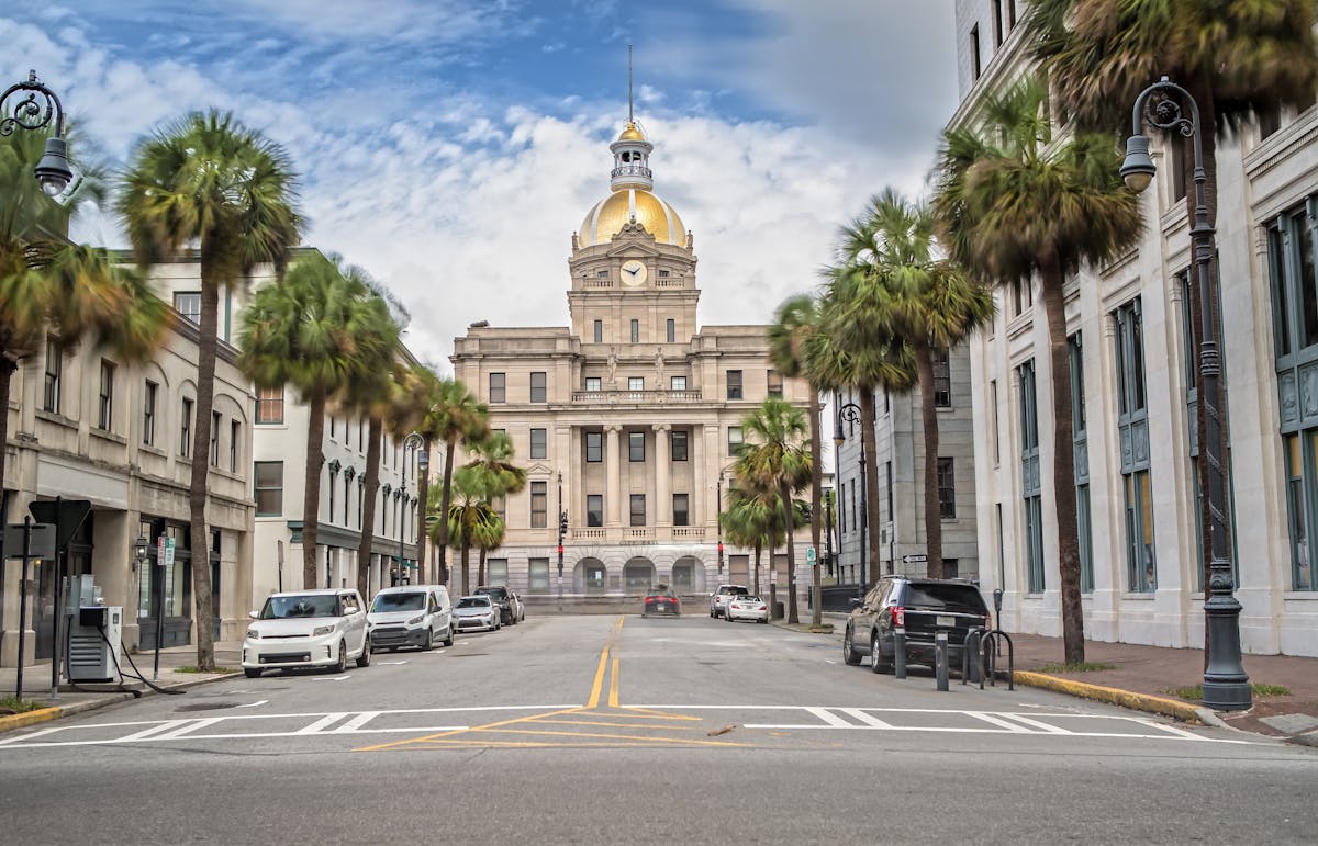 Savannah 360° panoramic tour in open-air minibus