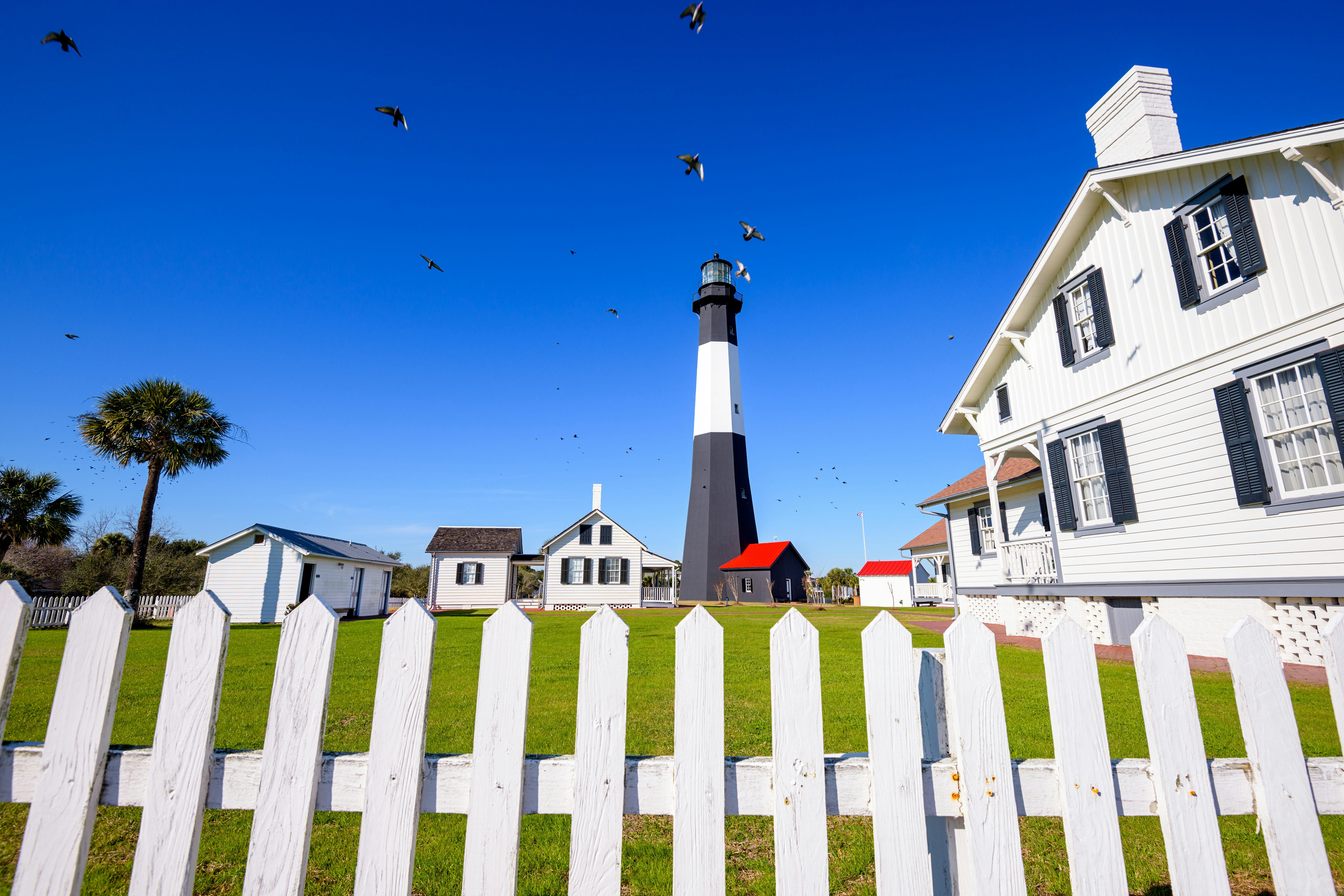 Delfintour auf Tybee Island