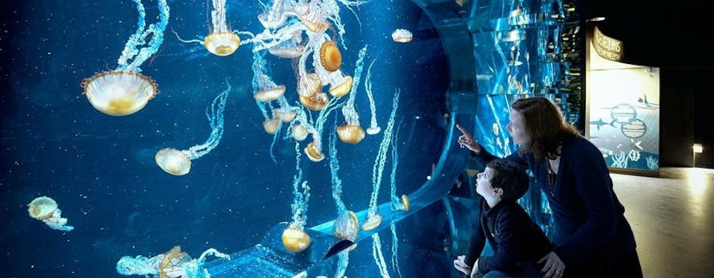 Ticket ohne Anstehen zum Aquarium von Nausicaá