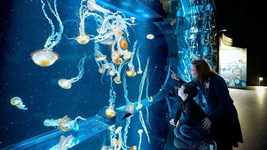 Billet coupe-file pour l'aquarium Nausicaá