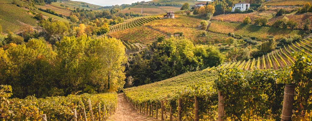 Piedmont and Barolo wine tour from Milan