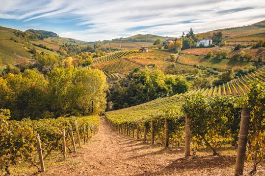 Piedmont and Barolo wine tour from Milan