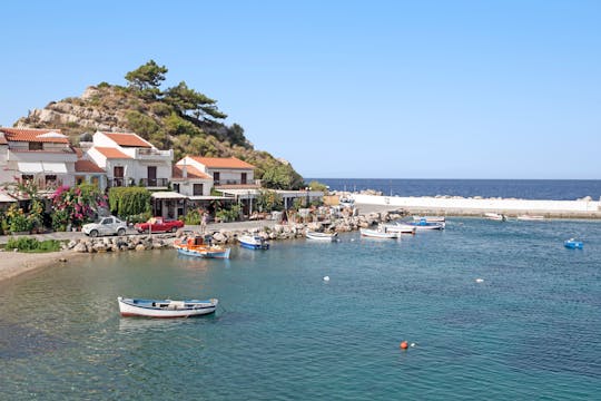 Samos Island Tour including the Heraion and Potami