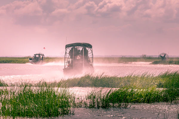 Tour in motoscafo di Boggy Creek