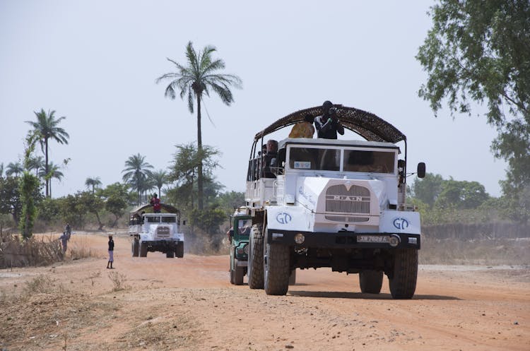 Full-day South Gambia safari with lunch in Sanyang village