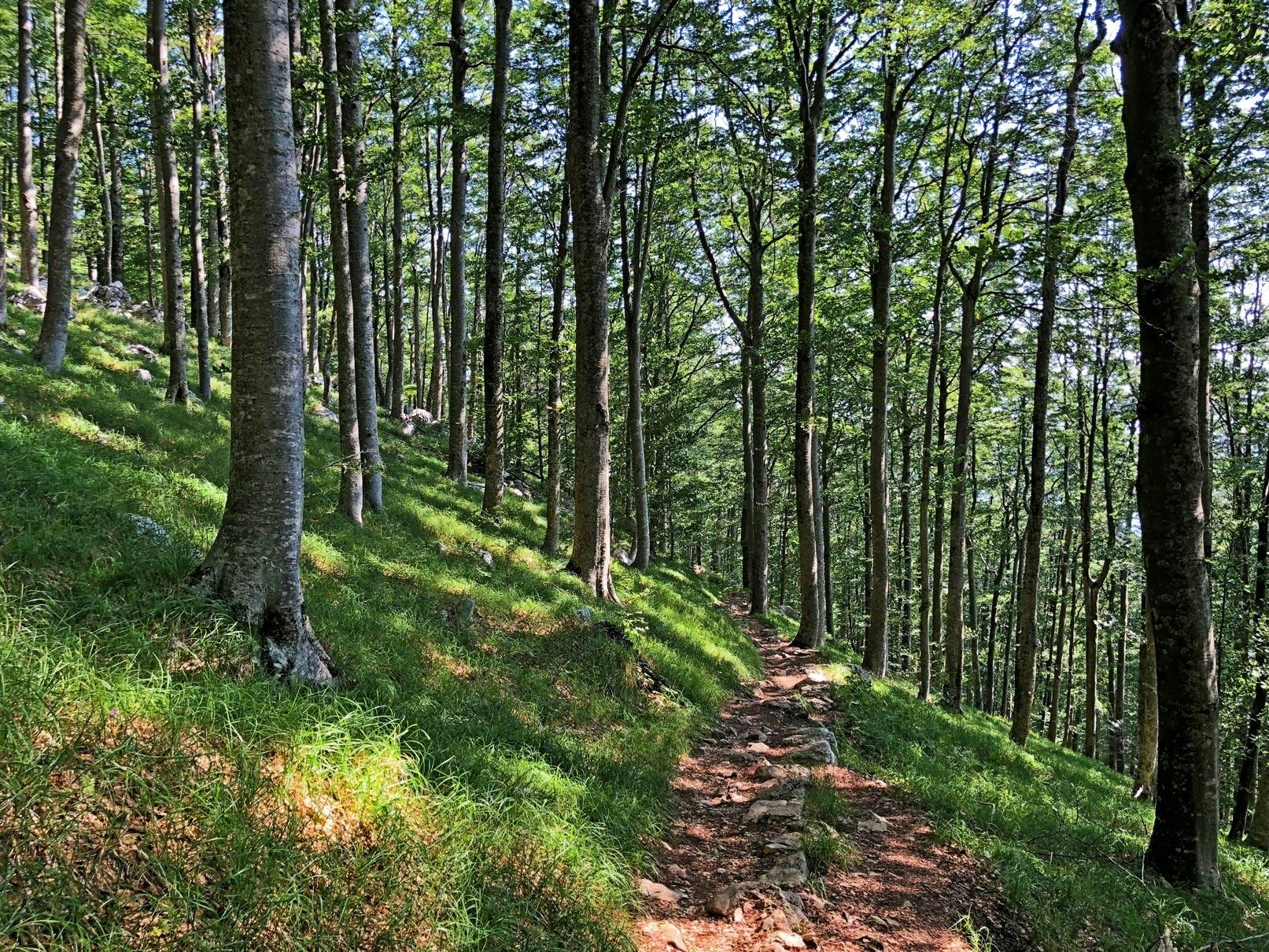 Tour of Učka Nature Park