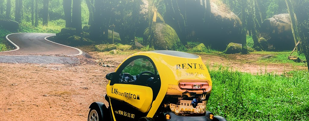 Visite du patrimoine et de la nature de Sintra en voiture électrique