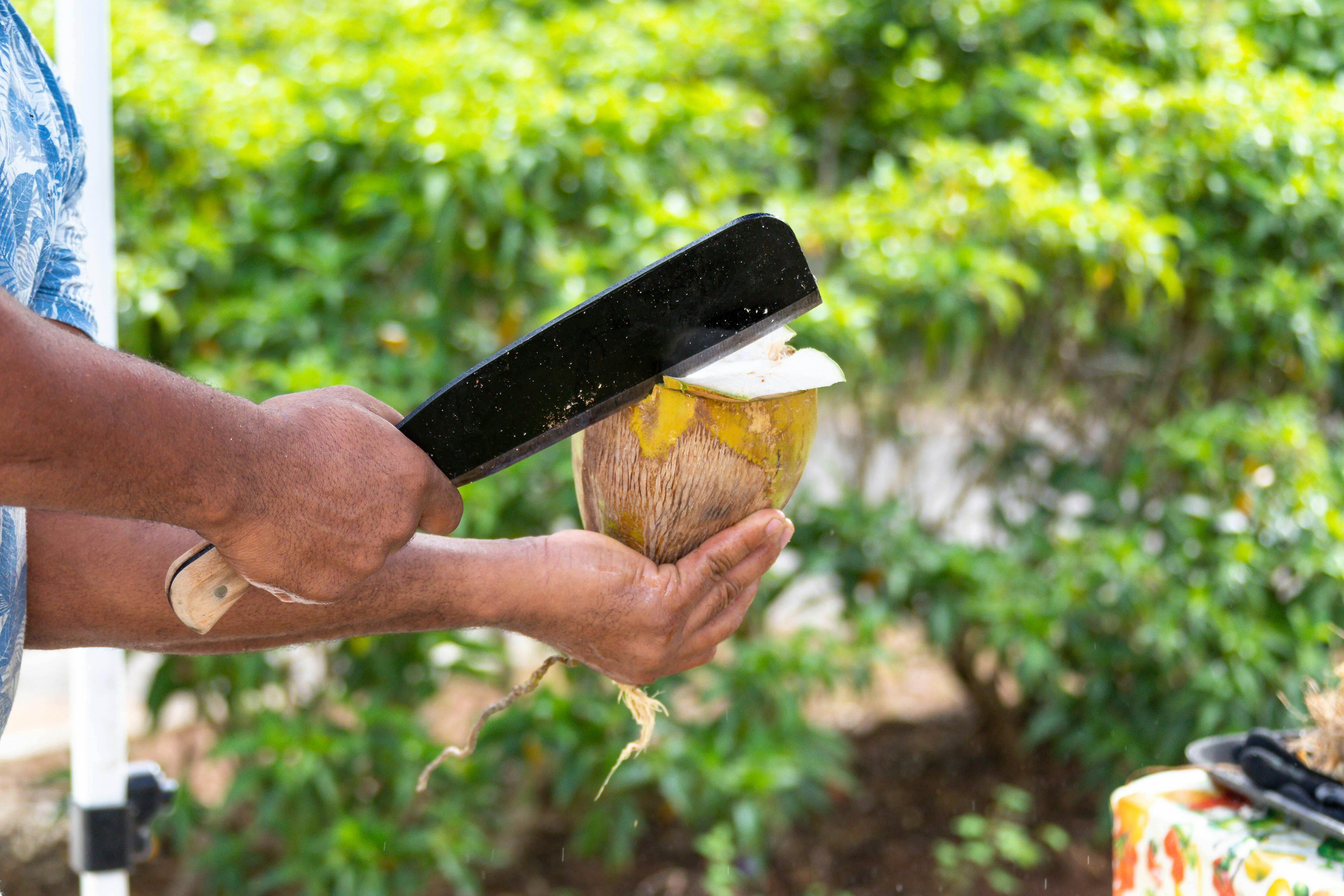 Tegalalang Rice Terraces STEP Walking Tour