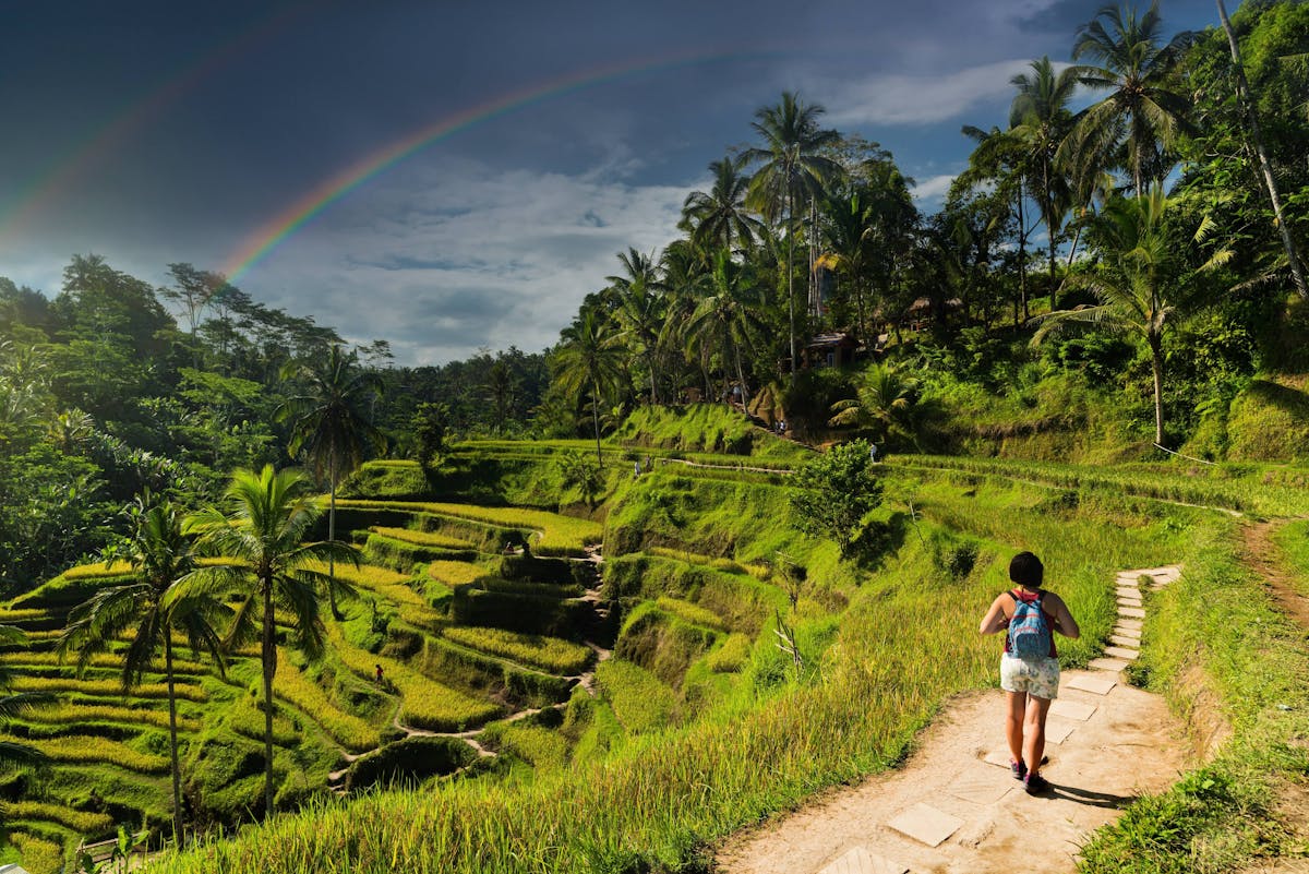 Tegalalang Rice Terraces STEP Walking Tour