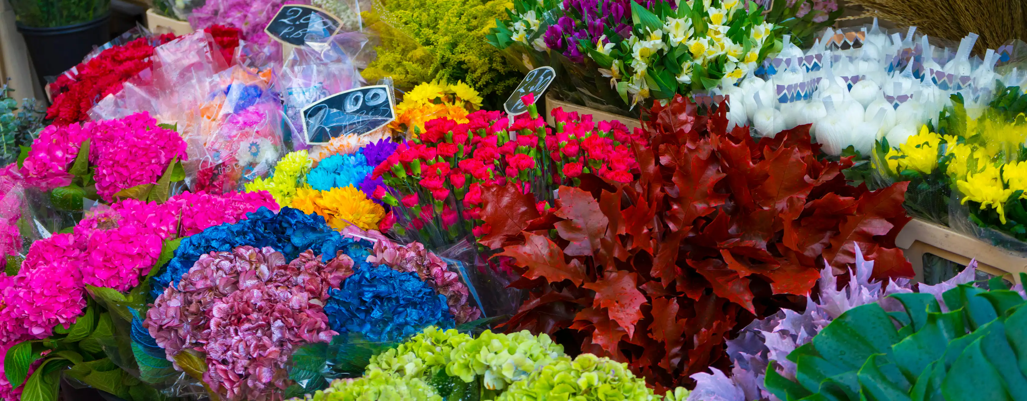 Mercado de Albert Cuyp: entradas y tours