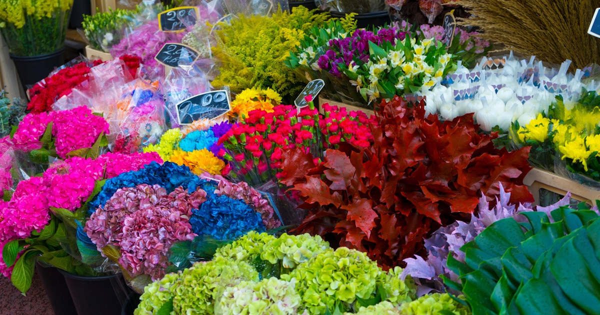Albert Cuyp Market Tours & Activities
