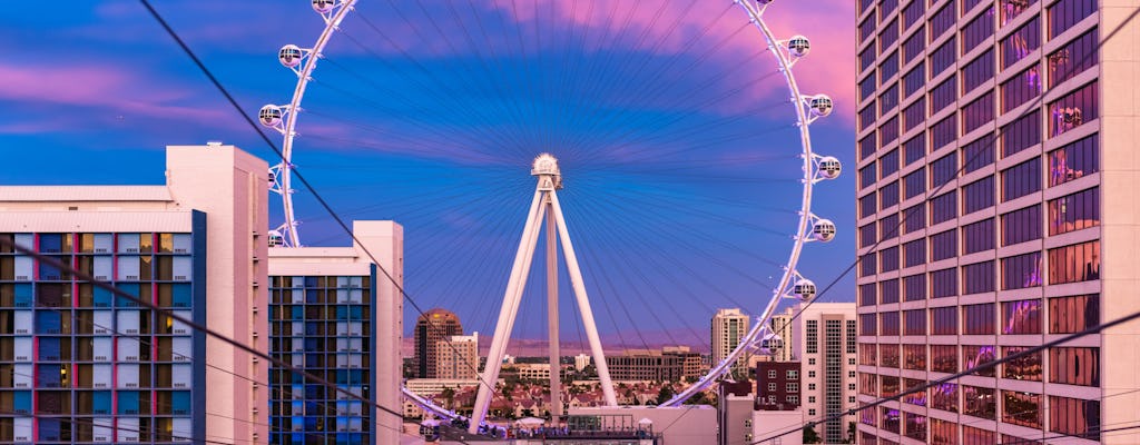 Tickets voor Fly LINQ Zipline