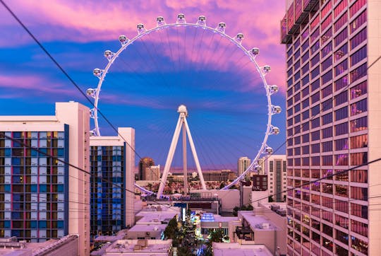 Tickets to Fly LINQ Zipline