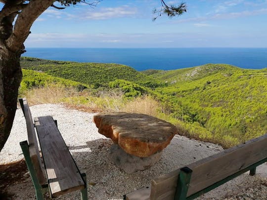 Visite de l'après-midi en petit groupe du sud de Zante