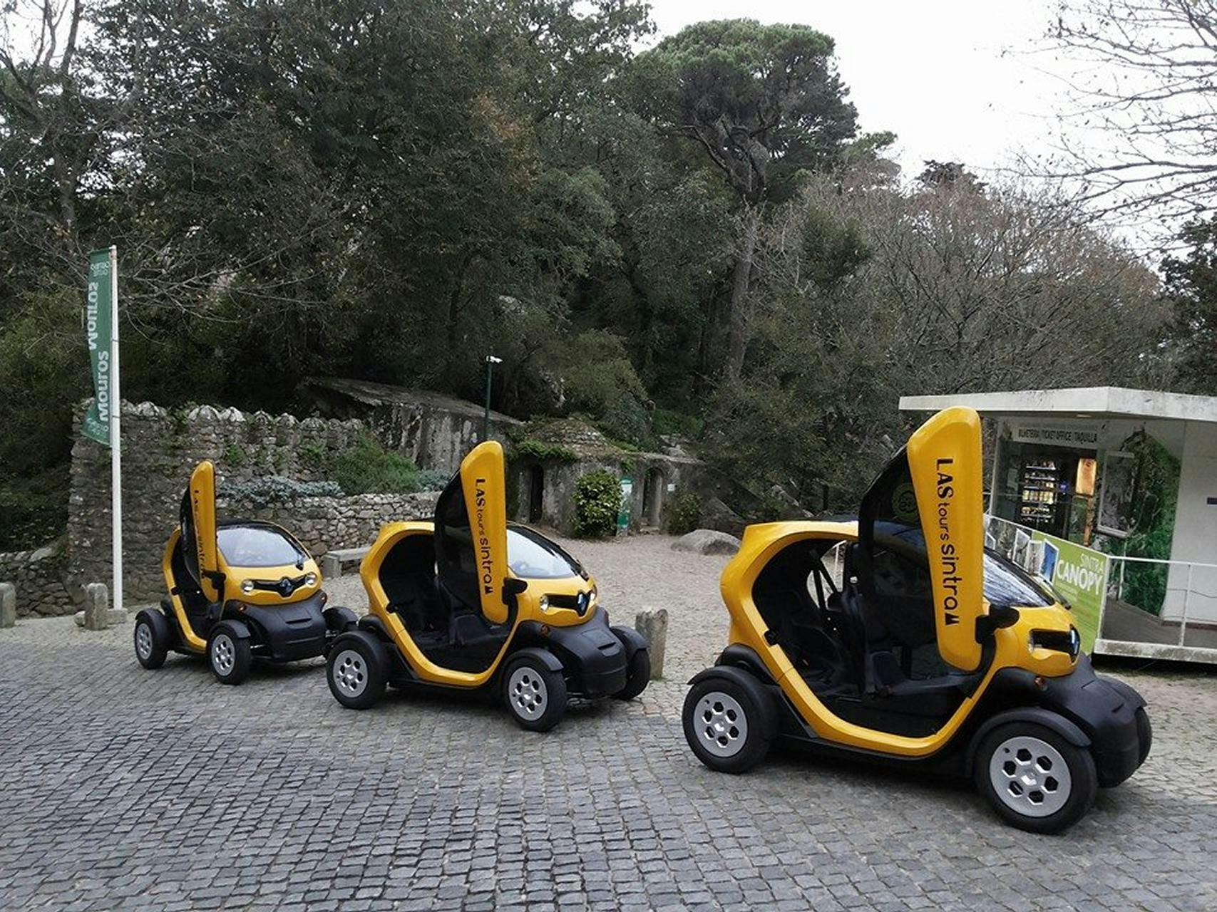Visite inoubliable de la nature et des jardins romantiques du patrimoine de Sintra en voiture électrique