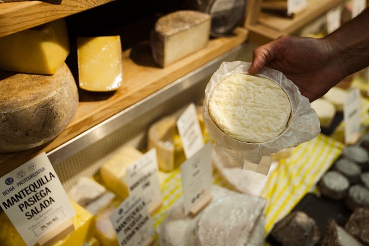 Basque cheese and txakoli wine experience