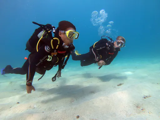 Zeus Dive Centre Scuba or Snorkelling for Beginners