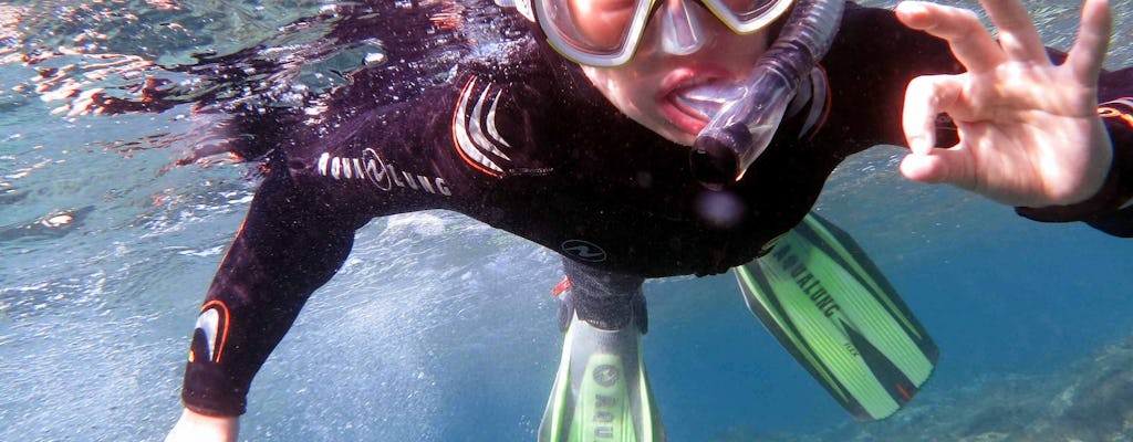Expérience de plongée sous-marine pour débutants avec le Zeus Dive Centre
