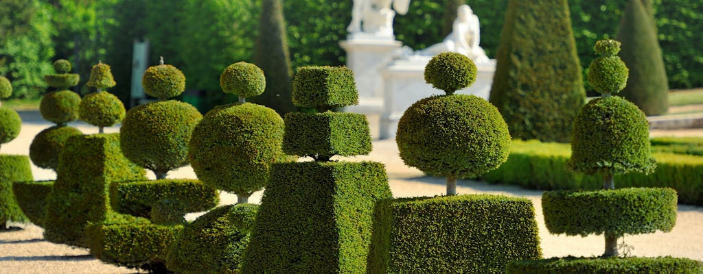 Palácio de Versalhes e Jardins Musicais com traslado de Paris