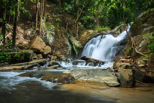 Full-day Khao Lak off-road Safari