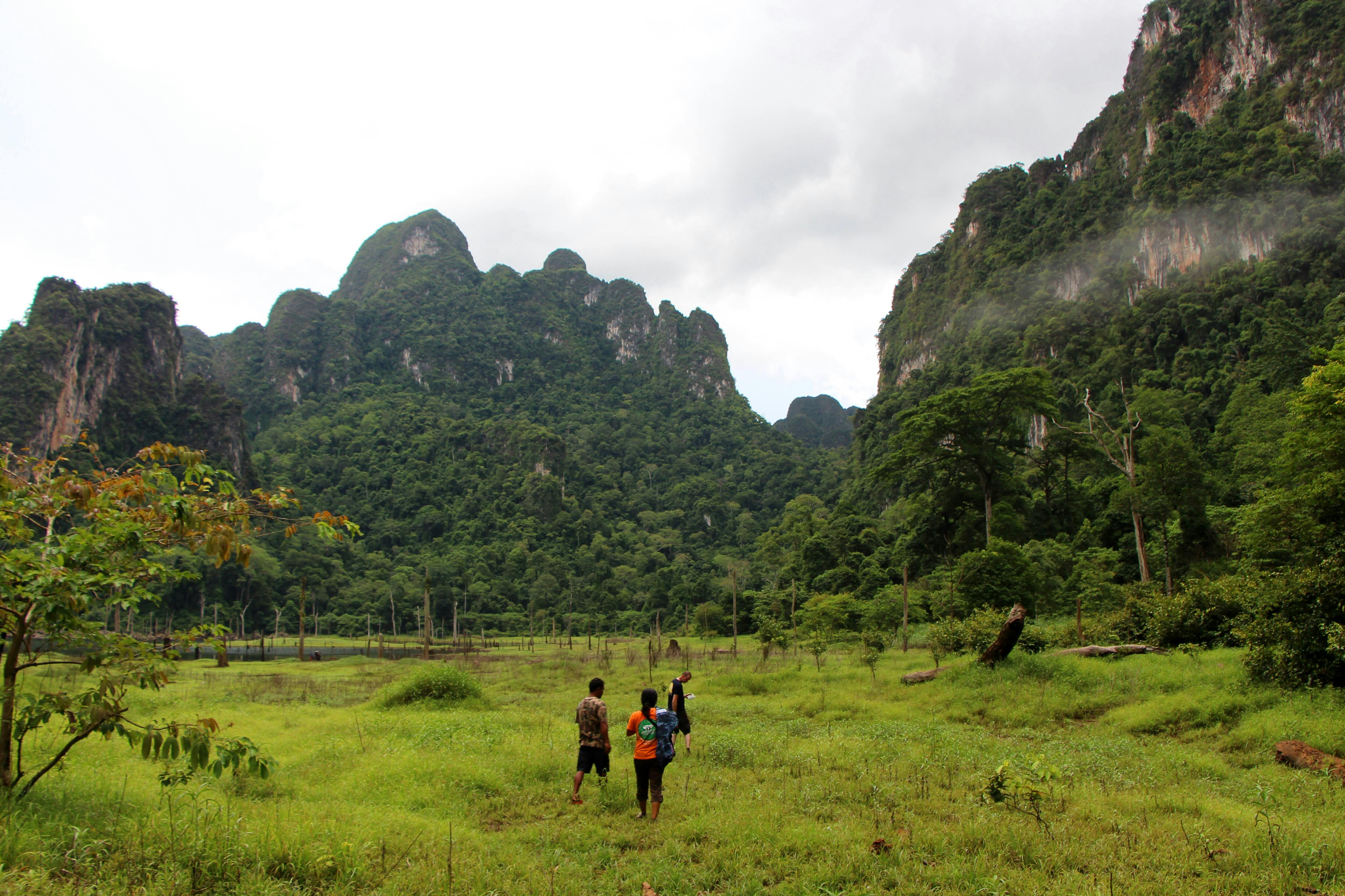 Khao Sok National Park Tour