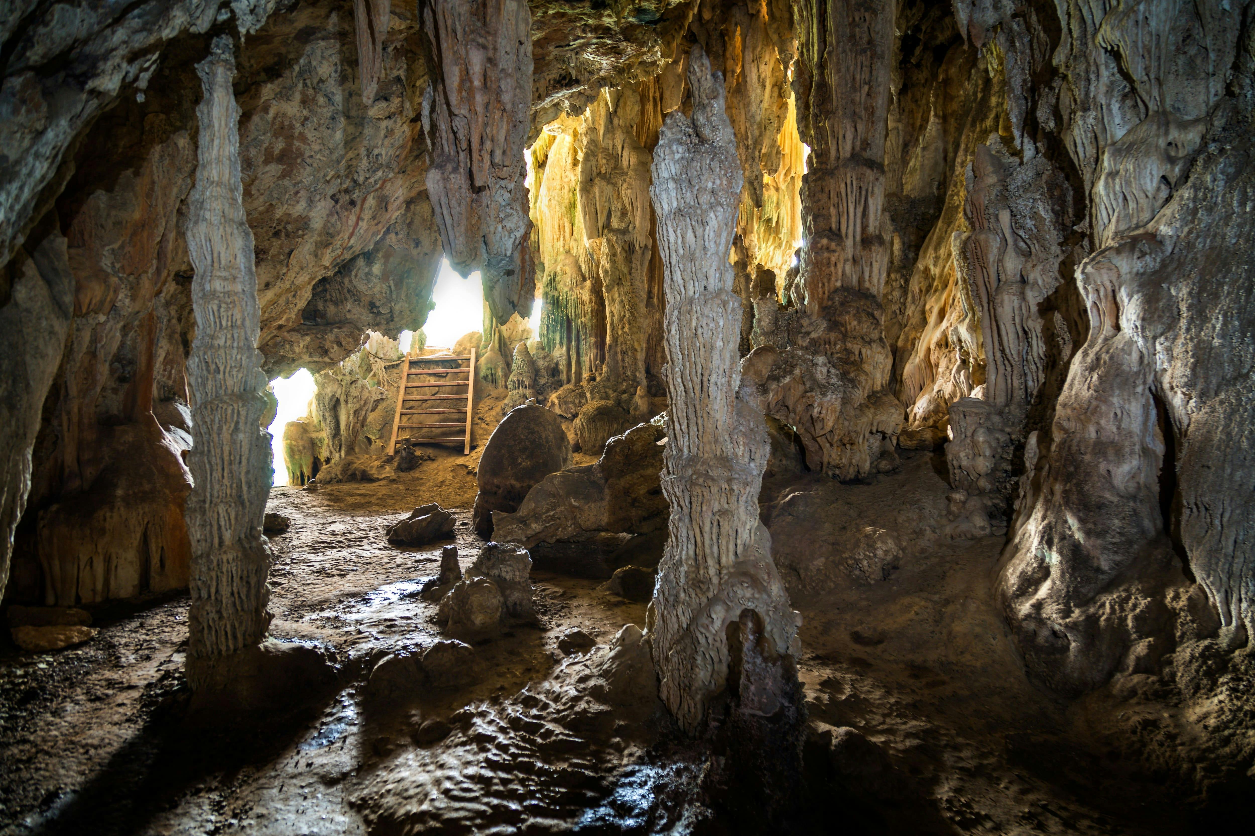 Khao Sok National Park Tour