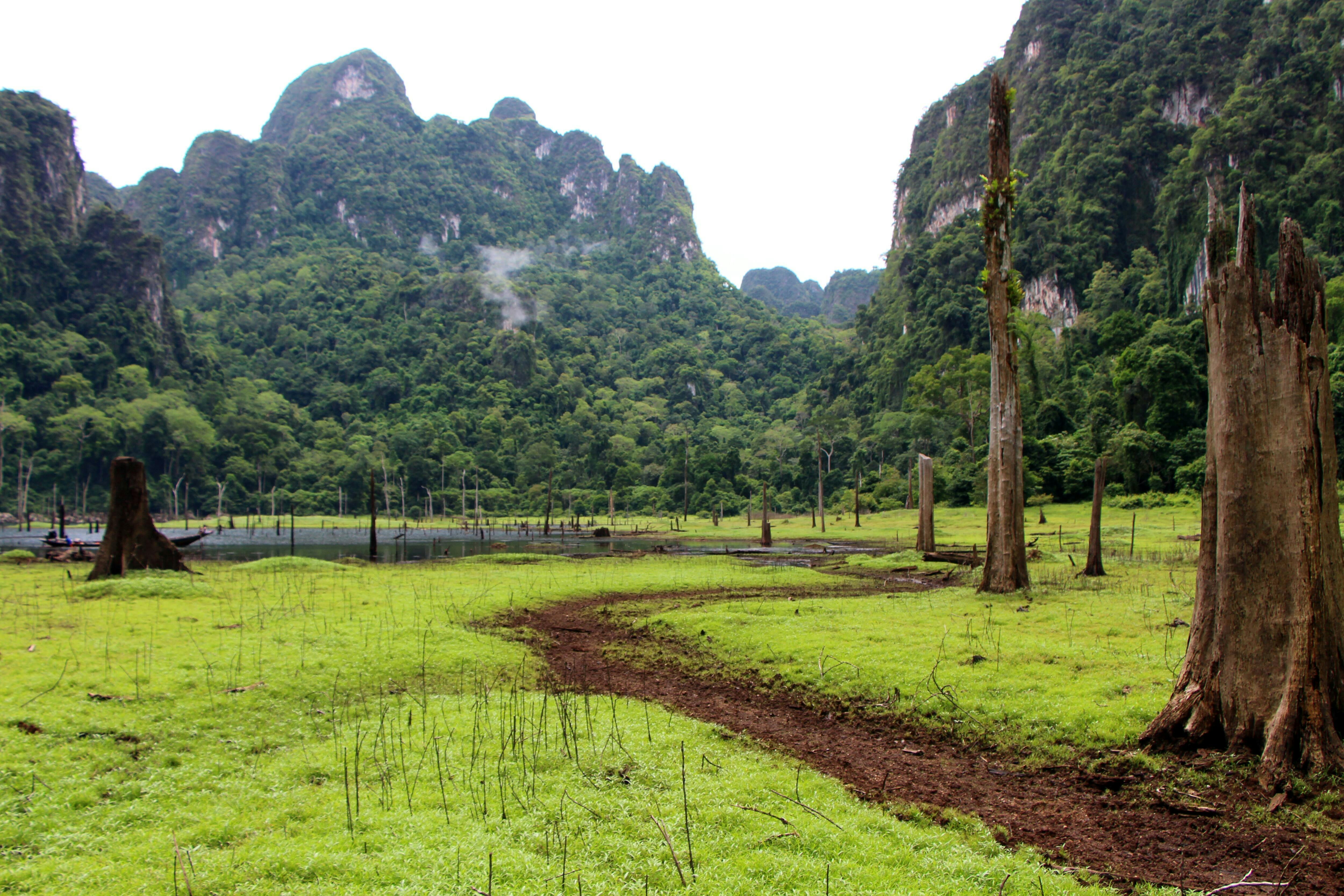 Khao Sok National Park Tour