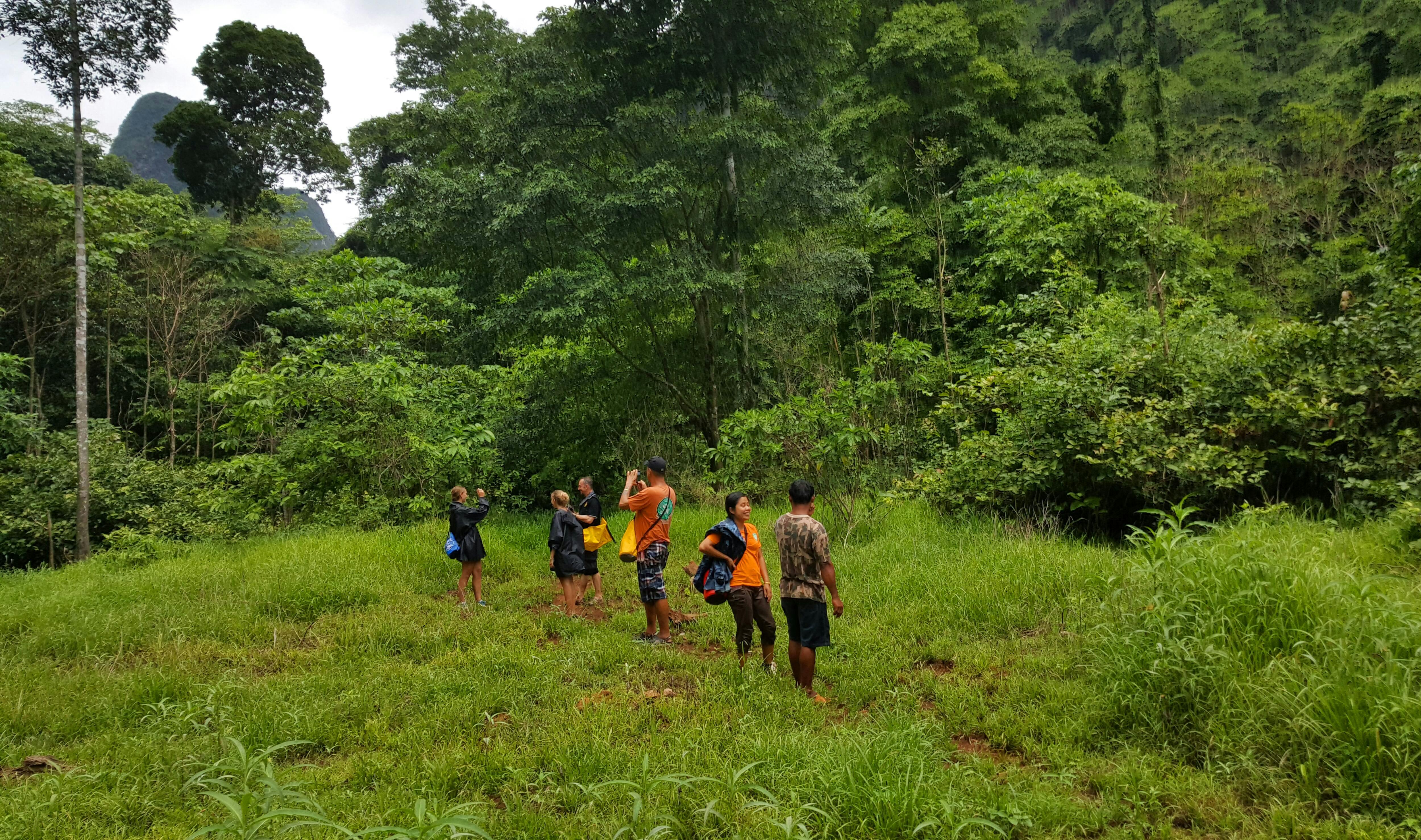 Khao Sok National Park Tour