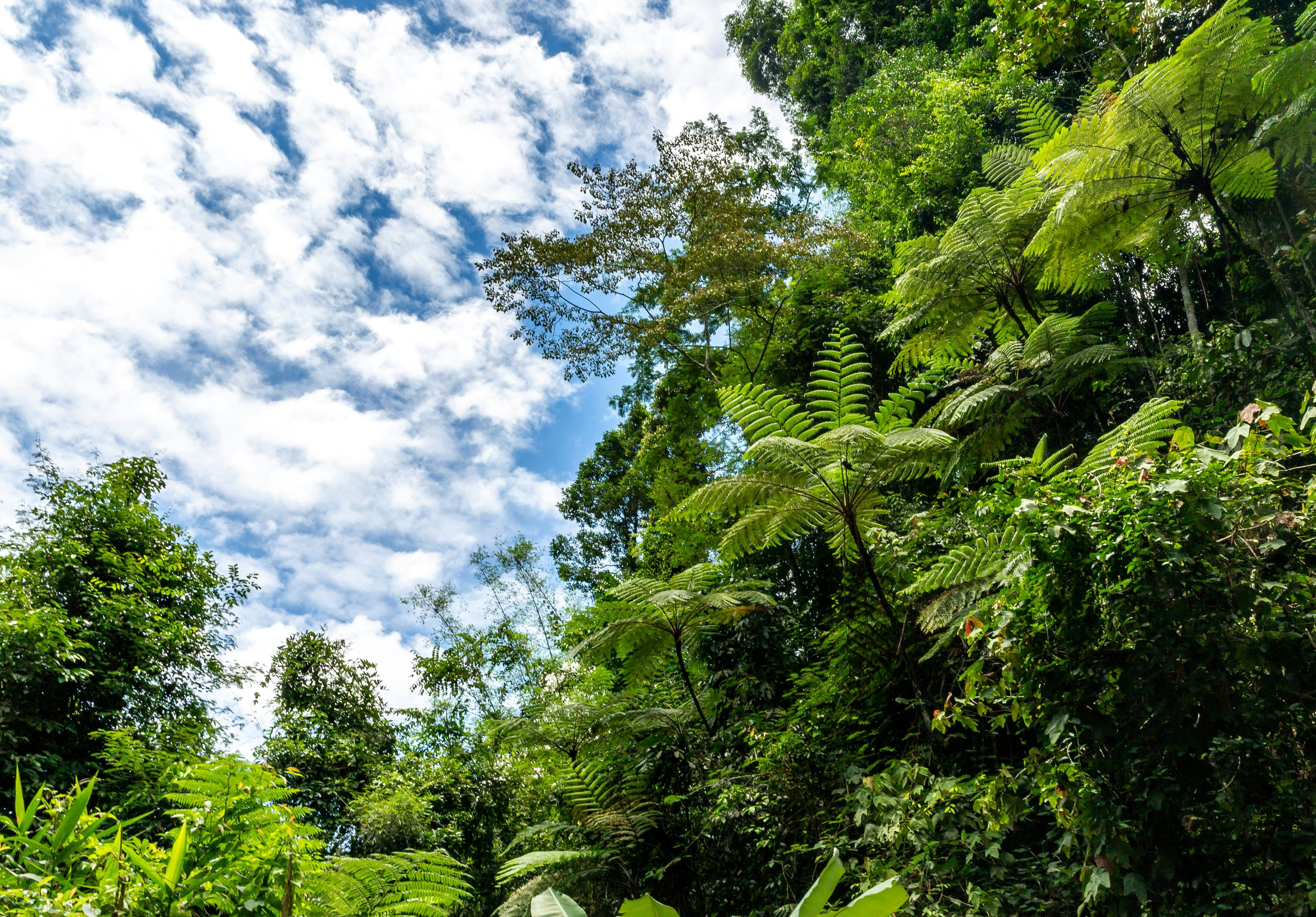 Khao Lak Off-road Safari