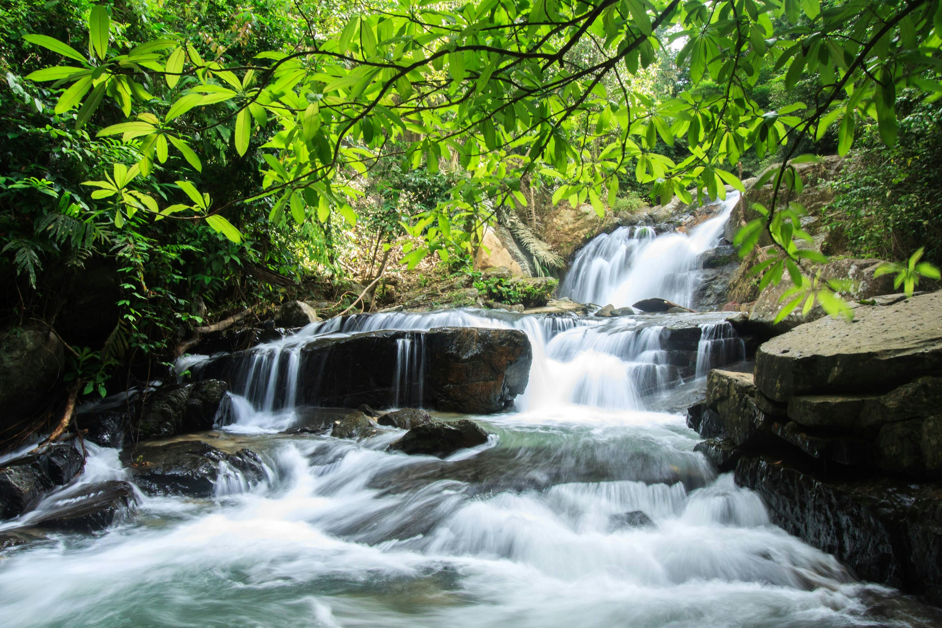 Khao Lak Off-road Safari