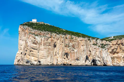 Sardinia Dolphin Watching Boat Cruise