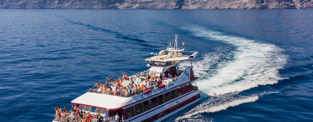 4.5-hour royal dolphin north cruise