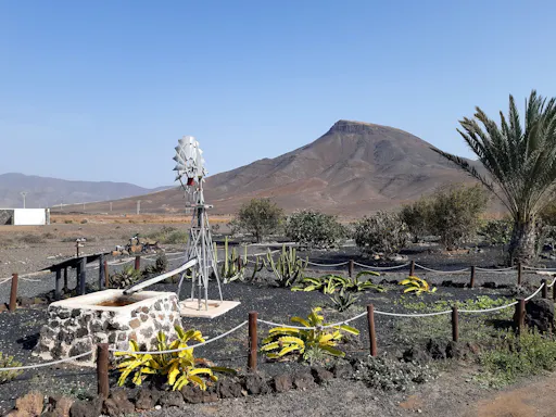 Fuerteventura Small Group Tour with tapas and wine