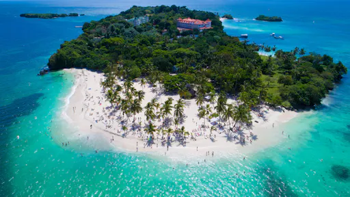 Whale Watching Tour with La Farola & Bacardi Island