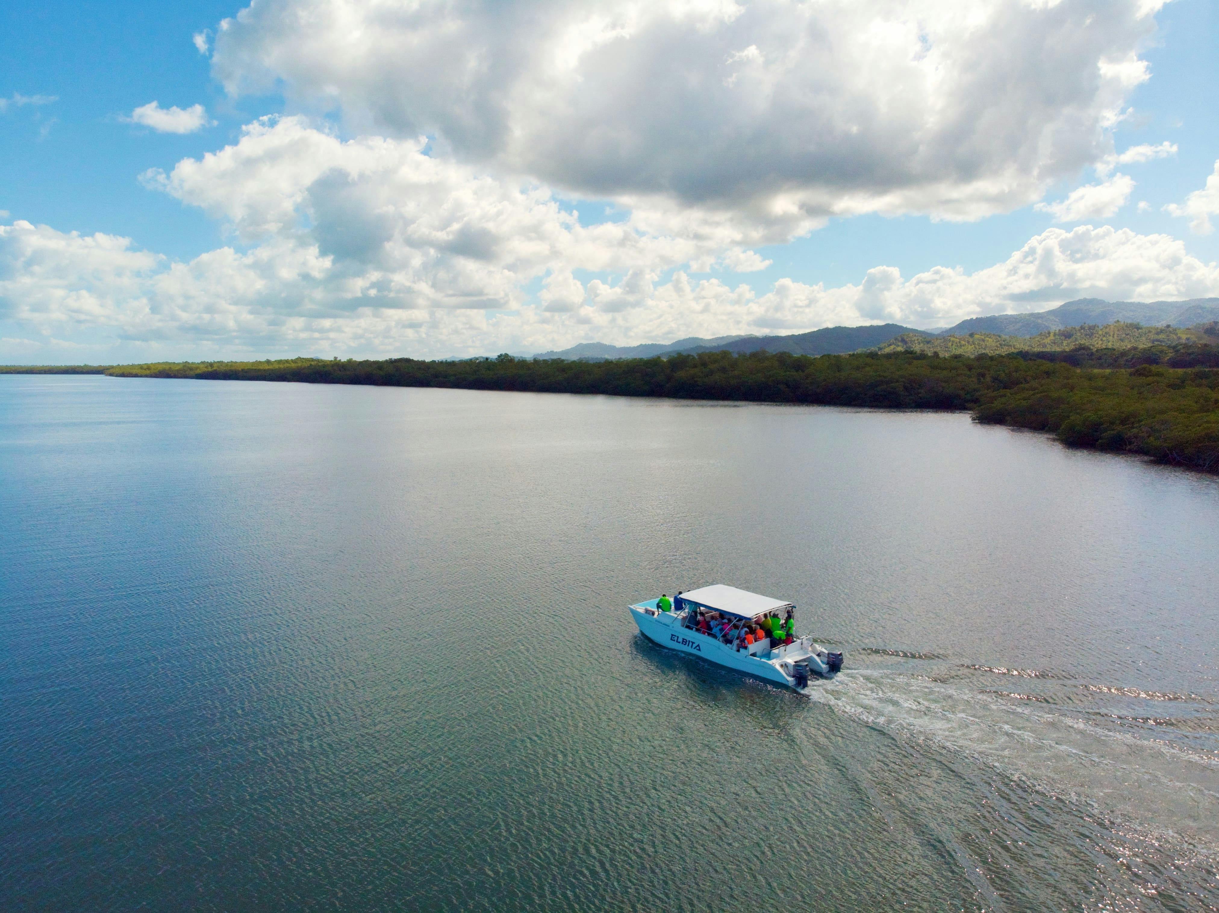 Whale Watching Tour with La Farola & Bacardi Island