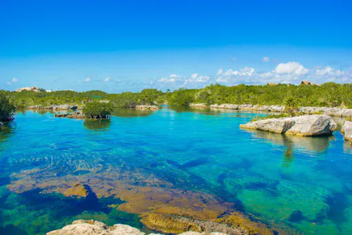 Tulum Tour with Cenote Swim & Yalku Lagoon Snorkelling