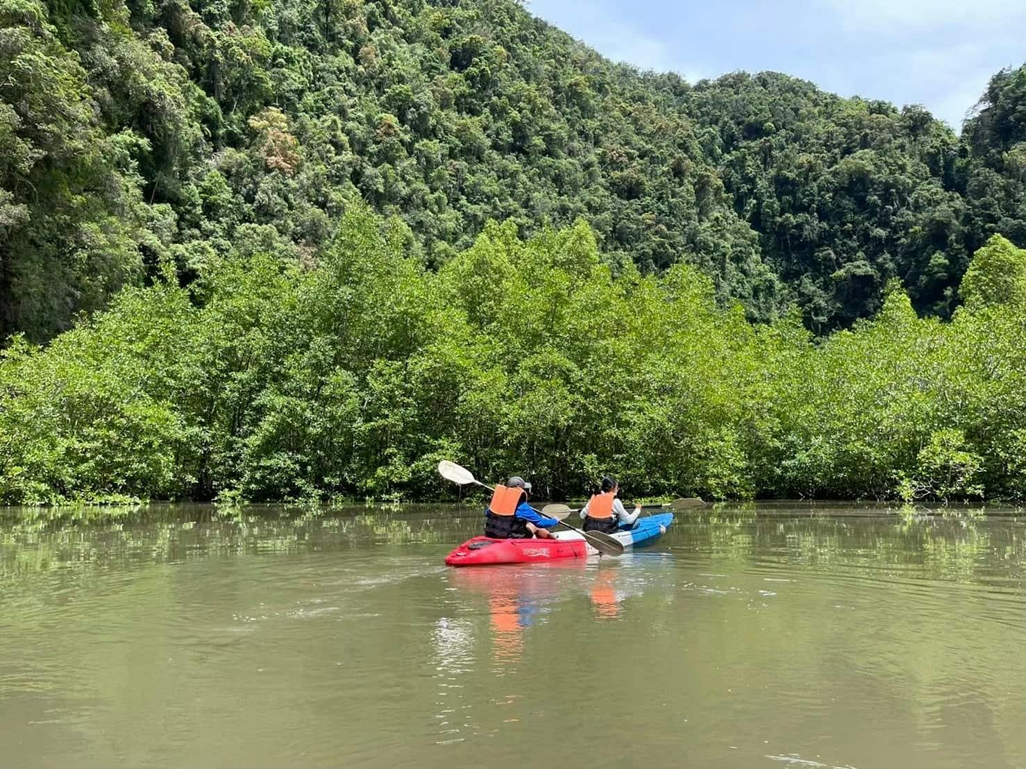 Full Day Krabi Tour with Kayaking & Bee Farm Visit