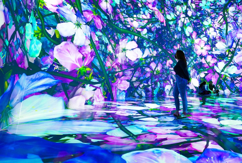 'PIXELBLOOM' tickets at ARTECHOUSE Washington DC | musement