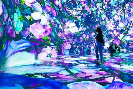 Entradas 'PIXELBLOOM' en ARTECHOUSE Washington DC