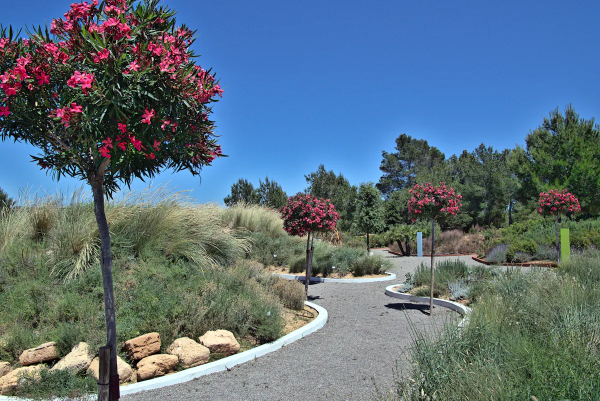 Ibiza Biotechnological Botanical Garden Ticket