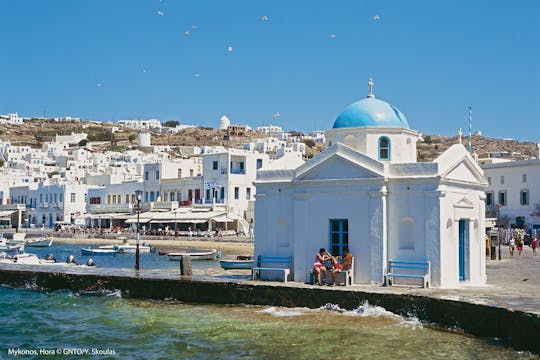 Half Day accessible private tour trough Mykonos