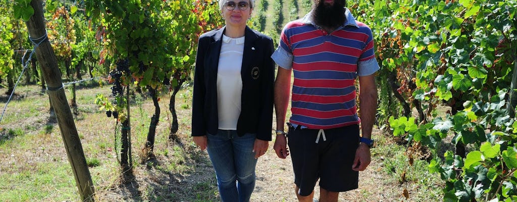 Cata de vinos guiada en la Cantina del Frignano