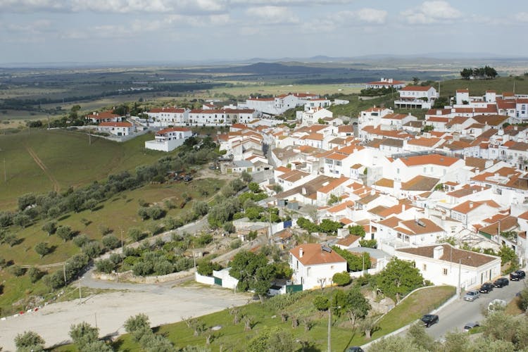 Alentejo wine tour with olive oil tasting from Lisbon